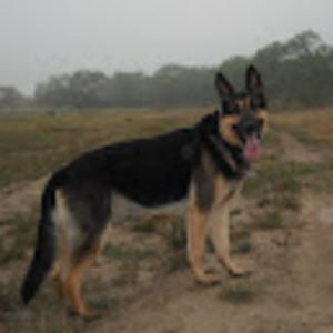 Meet your Posher, Sa